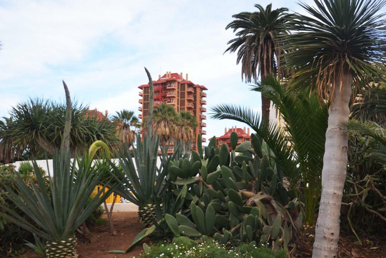 Sunshine Studio Puerto de la Cruz  Exterior photo